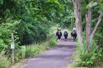 Tissington Trail users are asked to check the website for winter closures whilst tree felling takes place.