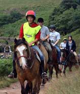 Horse riding