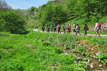 Walkers in Tideswell Dale