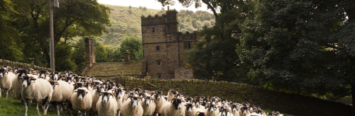 North Lees Hall