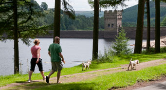 people walking by a reservoir