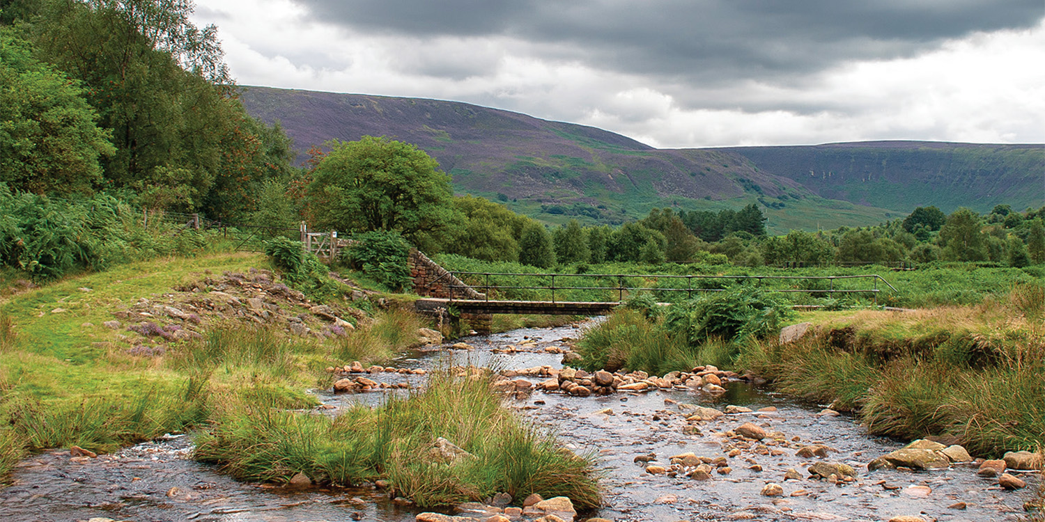 Crowden Family Walk banner