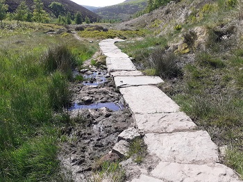 Doctors Gate route after repairs