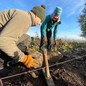 Individual volunteers