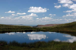 Mermaid Pool