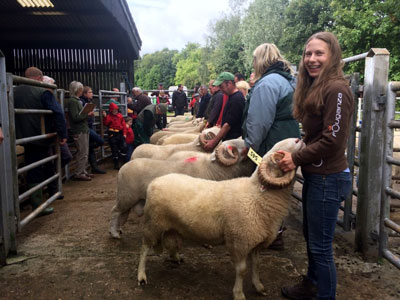 Faith Johnson with her white faced woodland sheep