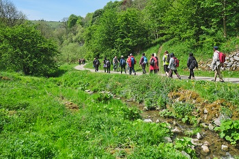 Peak District Mosaic group in Tideswell Dale