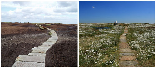 The trig point on Black Hill, before seen before and after work by Moors for the Future Partnership to revegetate the area