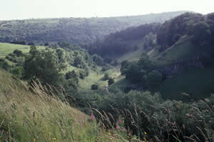 Tideswell Dale Quarry