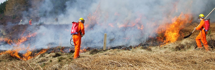 Moorland fire fighting