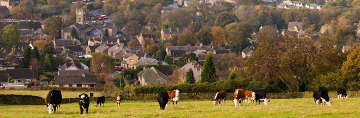 Hayfield in the Peak District