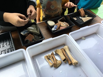 examining archaeological finds