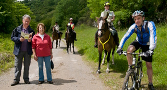 Black Harry Trails