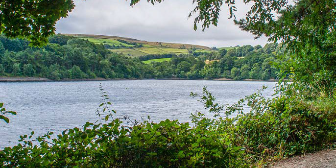 Damflask family walk banner