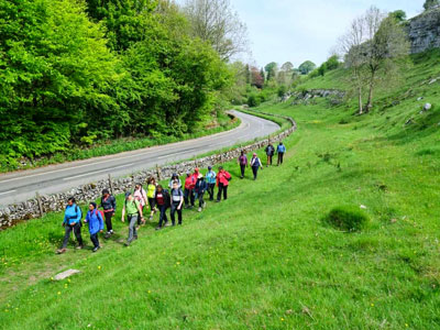 Peak District Mosaic