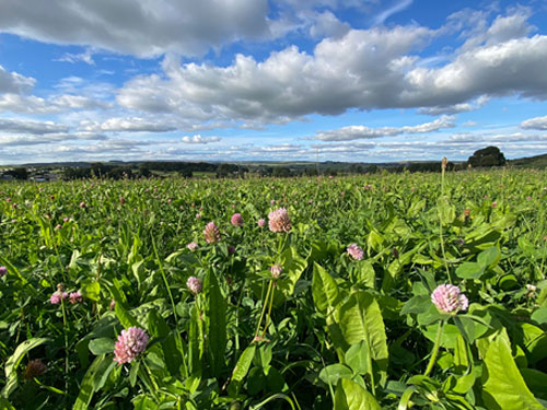 White Peak farm land